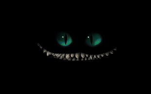 Cheshire Cat in dark