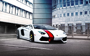 white and red sports car