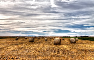 landscape photography of farm fields with hay bale