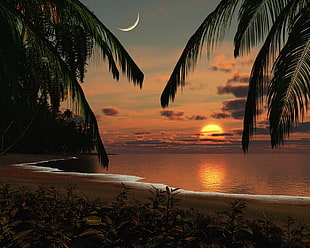 photo of beach during sunset HD wallpaper