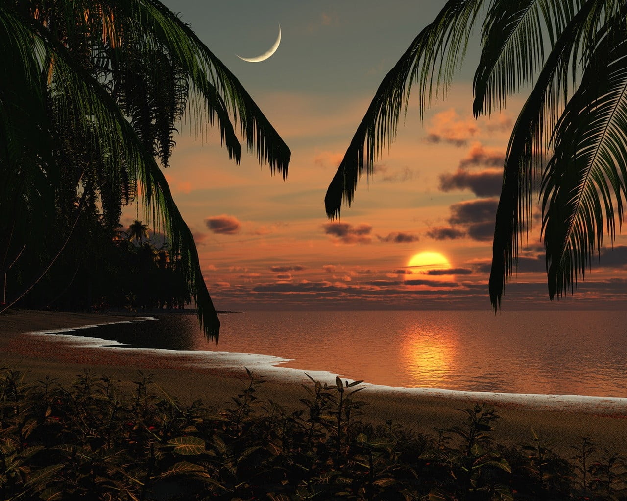 photo of beach during sunset