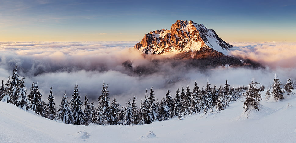 snow field, landscape, nature, mountains, winter HD wallpaper