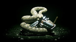 grey and brown rattle snake, Hitman, video games