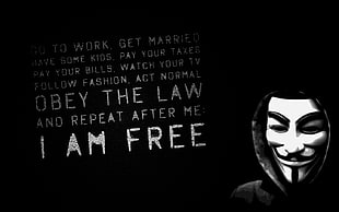 person in Guy Fawkes mask, V for Vendetta, freedom, Justice, politics