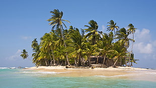 islet surrounded with coconut trees under calm blue sky