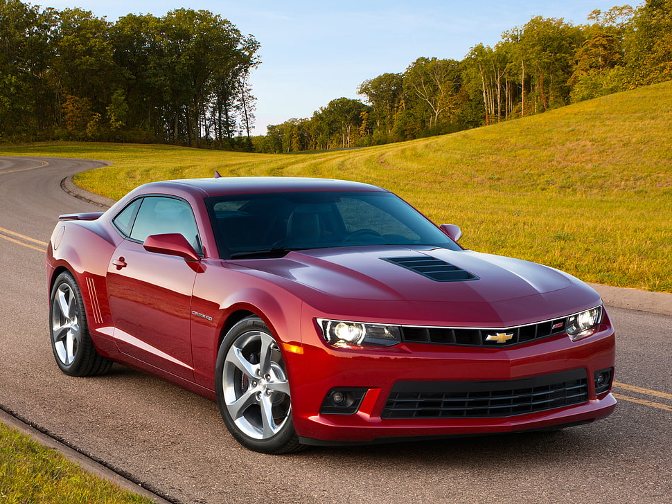 red Chevrolet Camaro coupe HD wallpaper