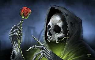 skeleton wearing black cape holding rose artowrk, dark, death, rose, skull