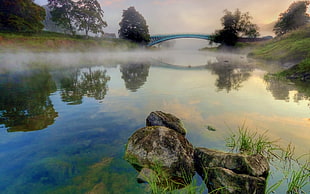 body of water in front of bridge during daytime HD wallpaper