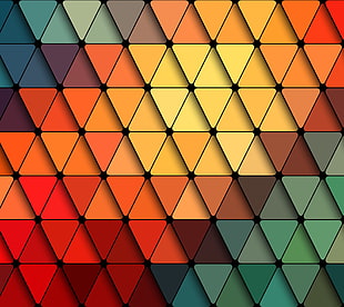 multicolored digital wallpaper