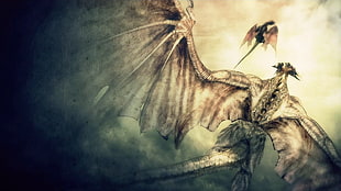 two dragons illustration, Demon's Souls, video games