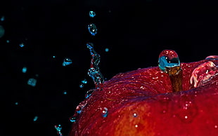 macro photography of water droplets on red apple fruit