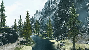 green pine tree lot, The Elder Scrolls V: Skyrim, nature, landscape, video games