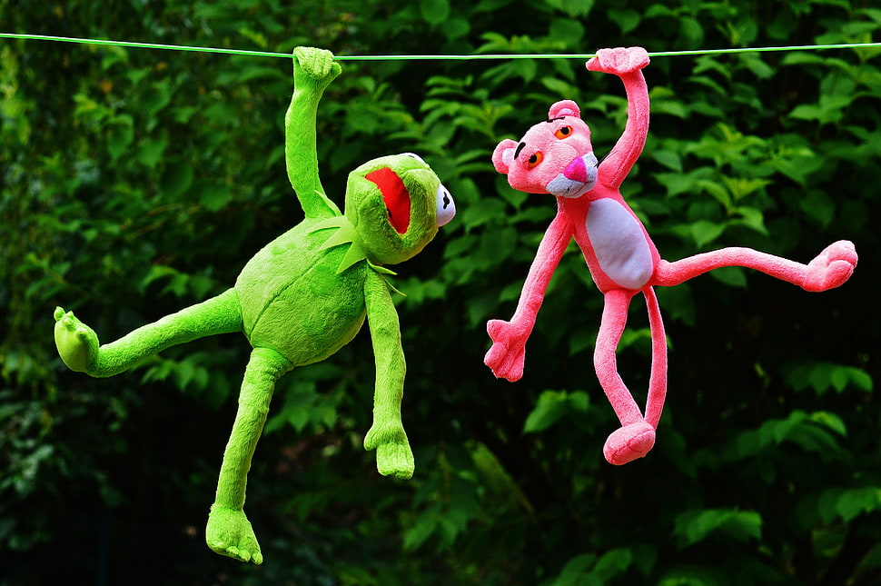 Pink Panther and Hermit the Frog hanging in string HD wallpaper