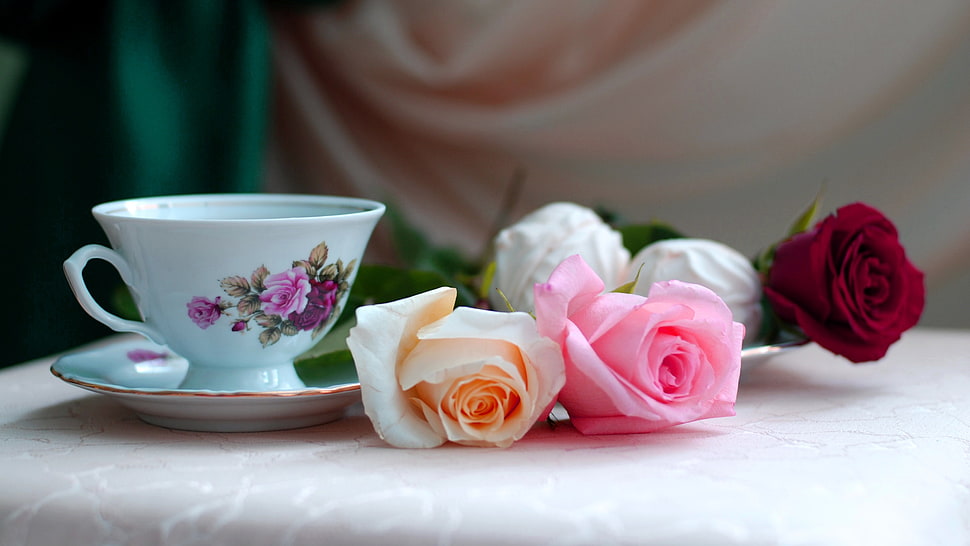 five assorted-color roses, cup, flowers, rose HD wallpaper