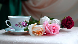 five assorted-color roses, cup, flowers, rose