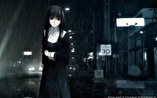 black and gray and black hair extensions, anime, Kara no Kyoukai