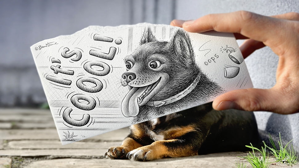 black and white dog illustration HD wallpaper