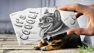 black and white dog illustration