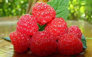 Raspberry fruits HD wallpaper