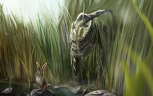 brown rabbit near river HD wallpaper