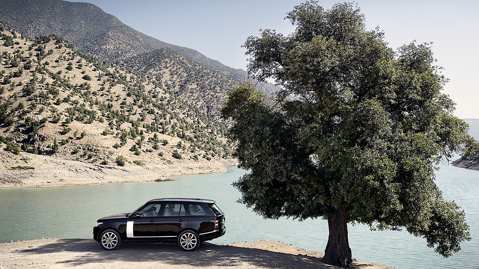 black 5-door hatchback, Range Rover, car, vehicle, trees HD wallpaper