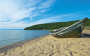 gray row boat on beach HD wallpaper