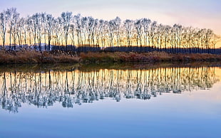calm body of water, reflection, nature, river HD wallpaper
