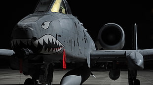 gray shark aircraft HD wallpaper