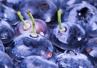 blueberries in closeup photography