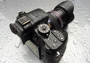 black Panasonic DSLR camera