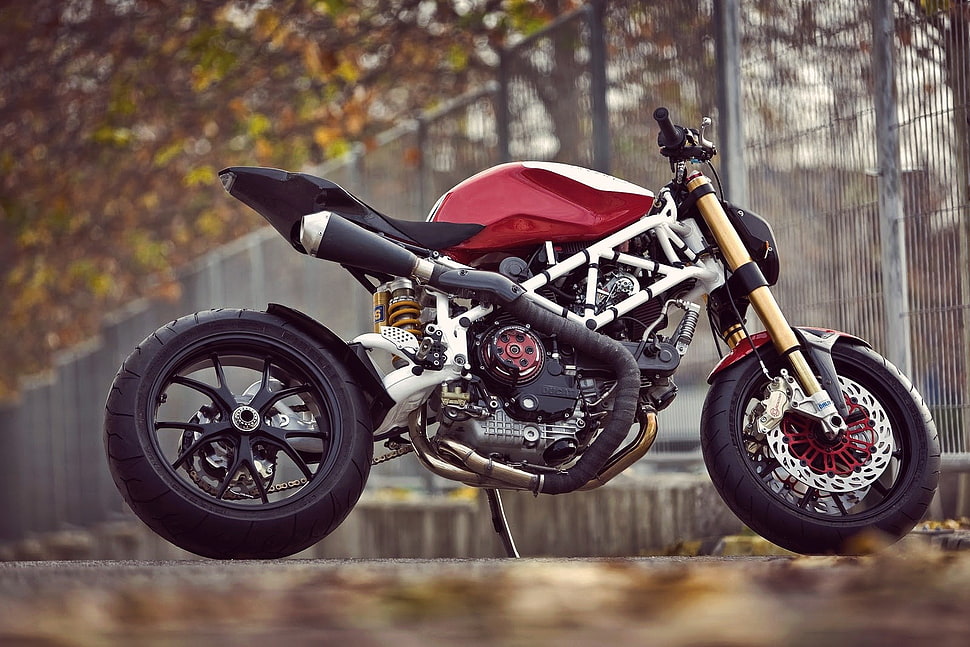 red and black pit bike, motorcycle, Ducati, Ducati Monster, vehicle HD wallpaper