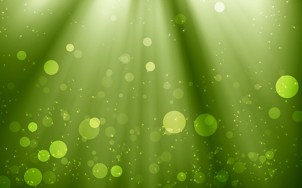 green dew illustration HD wallpaper