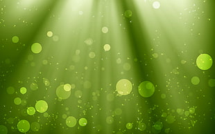 green dew illustration HD wallpaper