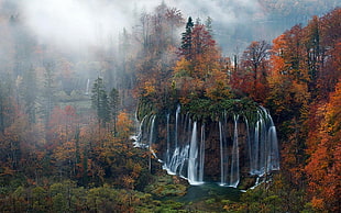 water falls mountain, nature, landscape, waterfall, forest HD wallpaper