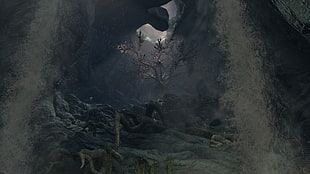 bare tree wallpaper, The Elder Scrolls V: Skyrim, video games