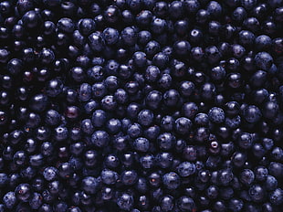 closeup photography of bunch of blueberries