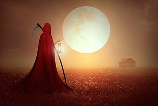 Little Red Riding Hood illustration HD wallpaper