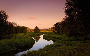 river surrounded with green grass field at golden hour