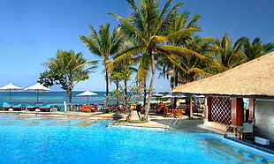 pool and beach resort photo