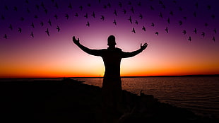 silhouette of person and birds near body of water during horizon