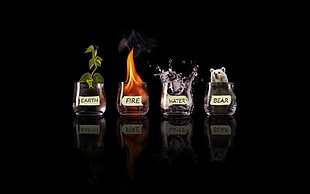 earth, fire, water, and bear illustration, glass, fire, water, black
