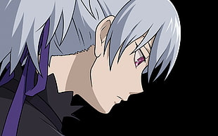 gray haired anime character illustration, anime, Darker than Black, purple eyes, profile