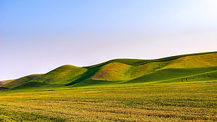 grassland, landscape, mountain chain, mountains HD wallpaper
