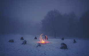 time lapse photo of fire near stones, winter, fire HD wallpaper