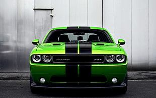 green and black sports vehicle, Dodge Challenger, car, Dodge Challenger Hellcat HD wallpaper