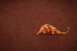 orange armadillo illustration, Ubuntu