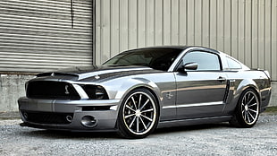 silver Ford Shelby, car, Ford Mustang HD wallpaper