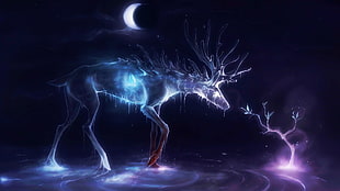 deer, crescent moon, glowing, animals