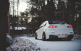 white sedan on snowy road surrounded by tall tress during daytime HD wallpaper