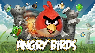 Angry birds illustration HD wallpaper